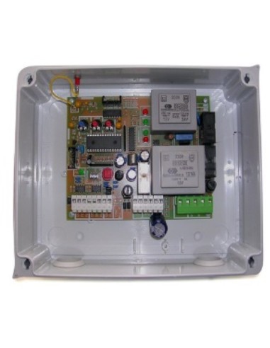 Cuadro de control Nice Camarex CS2E para 1 motor a 230V